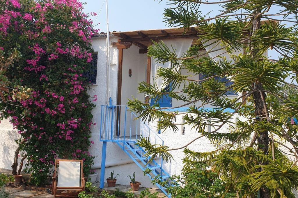 Perivola's House Tzíkidhes
